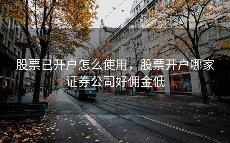 股票已开户怎么使用，股票开户哪家证券公司好佣金低