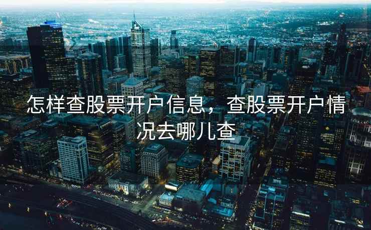 怎样查股票开户信息，查股票开户情况去哪儿查
