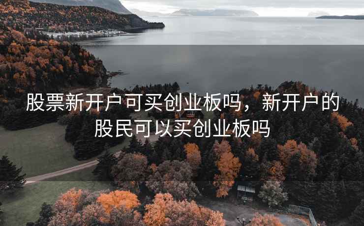 股票新开户可买创业板吗，新开户的股民可以买创业板吗