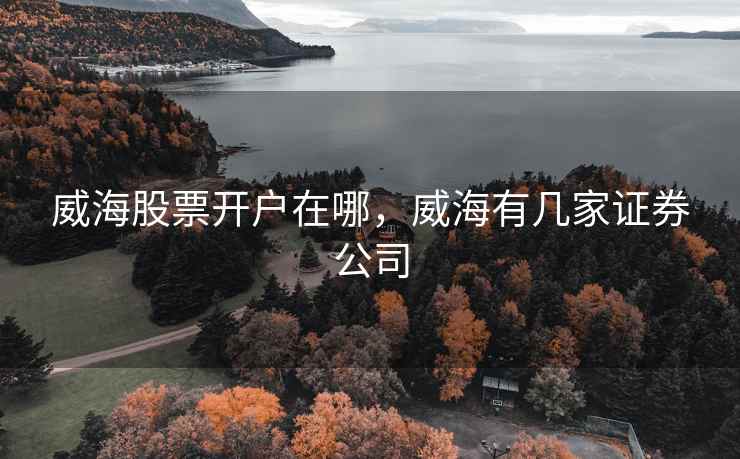 威海股票开户在哪，威海有几家证券公司