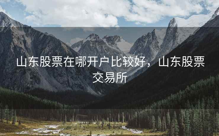 山东股票在哪开户比较好，山东股票交易所