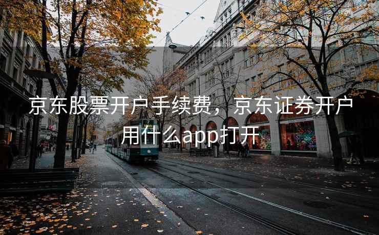 京东股票开户手续费，京东证券开户用什么app打开