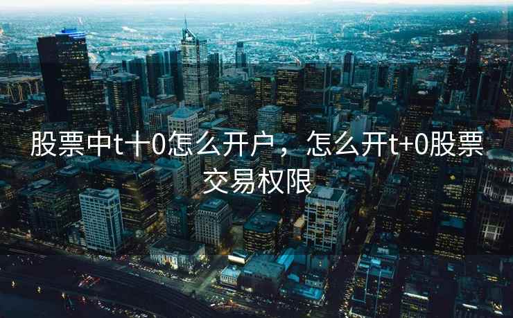 股票中t十0怎么开户，怎么开t+0股票交易权限