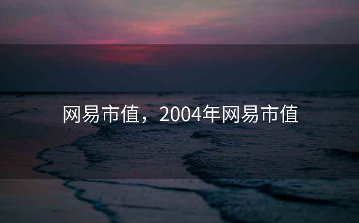 网易市值，2004年网易市值