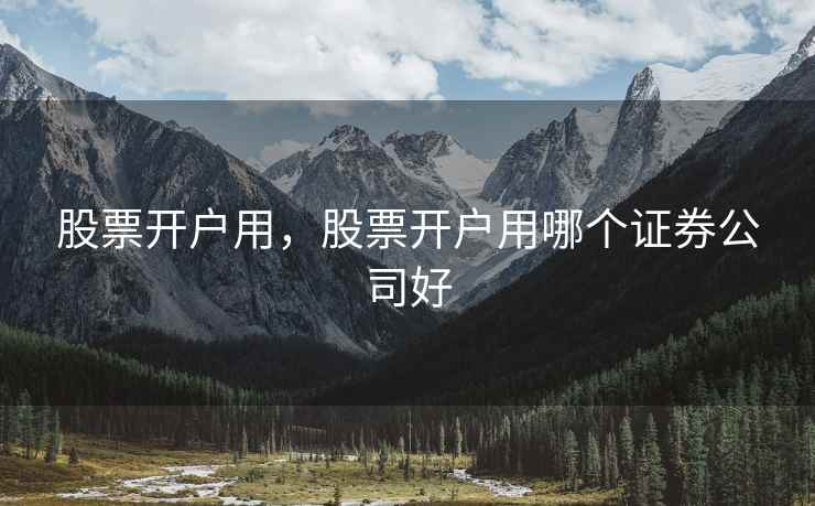 股票开户用，股票开户用哪个证券公司好