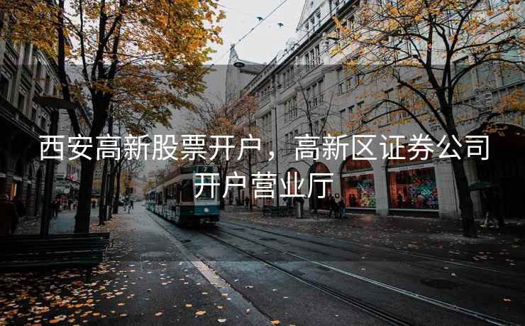 西安高新股票开户，高新区证券公司开户营业厅