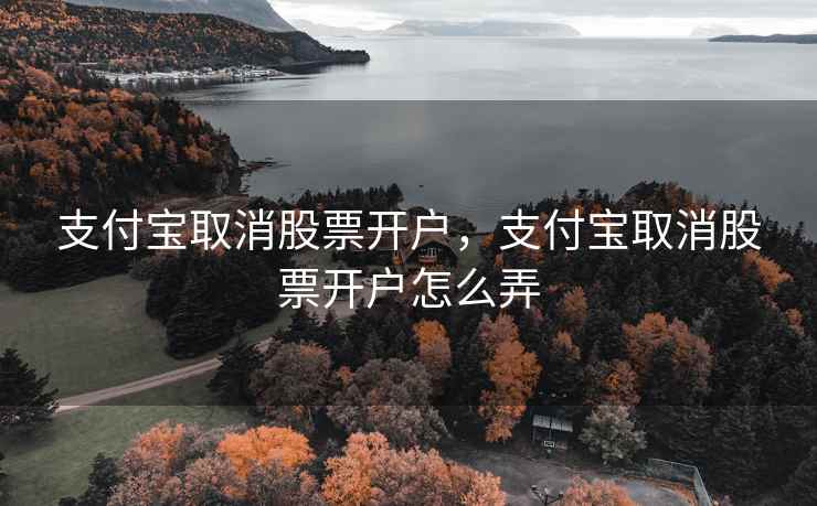 支付宝取消股票开户，支付宝取消股票开户怎么弄