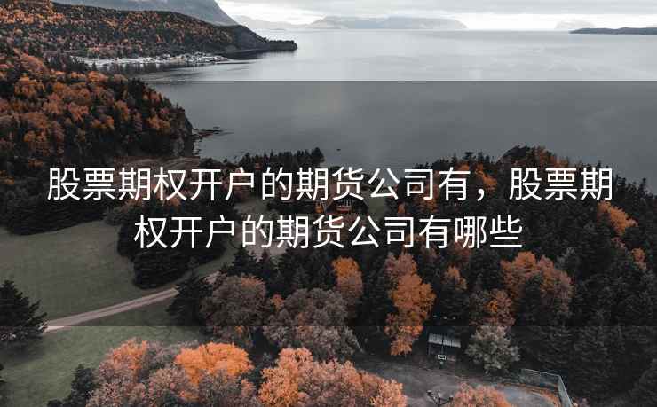 股票期权开户的期货公司有，股票期权开户的期货公司有哪些