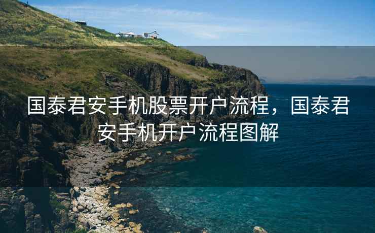 国泰君安手机股票开户流程，国泰君安手机开户流程图解