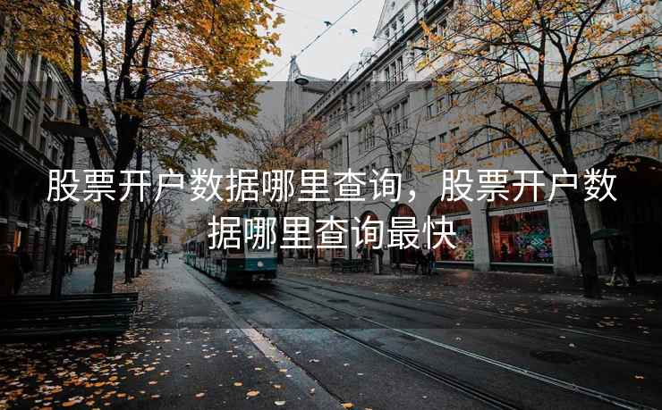 股票开户数据哪里查询，股票开户数据哪里查询最快