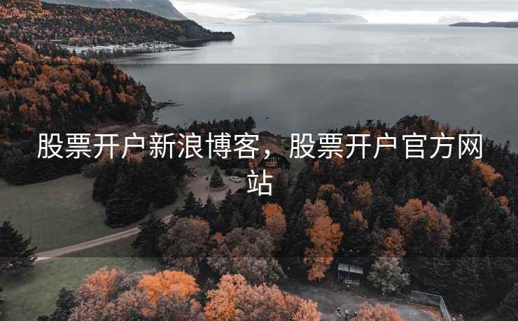 股票开户新浪博客，股票开户官方网站
