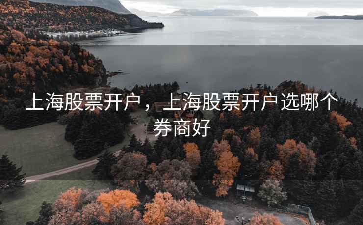 上海股票开户，上海股票开户选哪个券商好