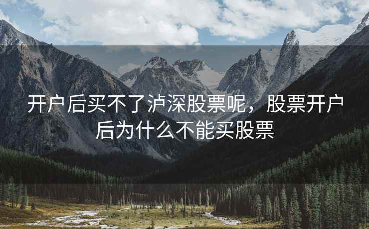 开户后买不了泸深股票呢，股票开户后为什么不能买股票