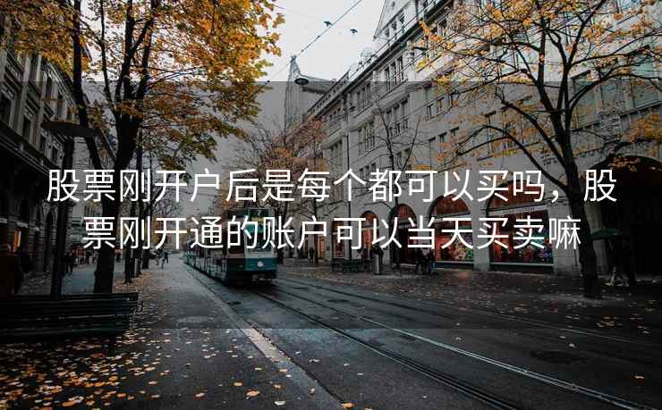 股票刚开户后是每个都可以买吗，股票刚开通的账户可以当天买卖嘛