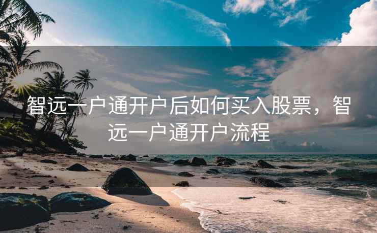 智远一户通开户后如何买入股票，智远一户通开户流程