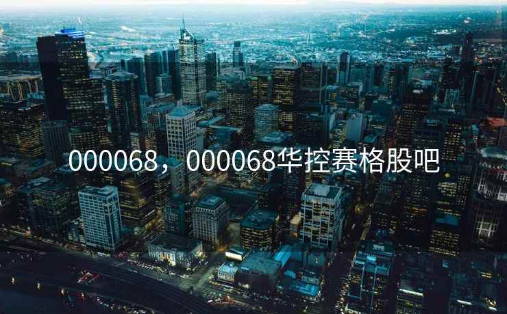 000068，000068华控赛格股吧