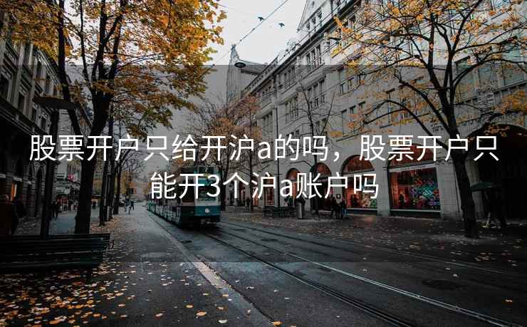 股票开户只给开沪a的吗，股票开户只能开3个沪a账户吗