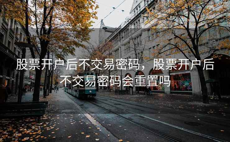 股票开户后不交易密码，股票开户后不交易密码会重置吗